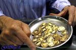 واکنش محتاطانه خریداران ، عدم استقبال از دریافت سکههای پیشفروشی
